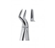 Extracting Forceps